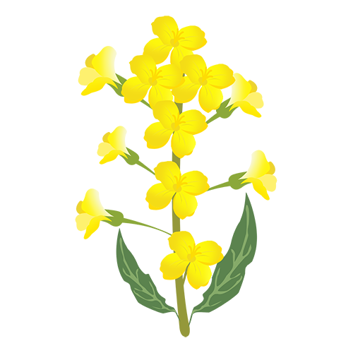 快乐花 messages sticker-3