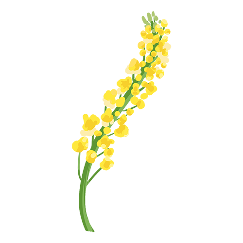 快乐花 messages sticker-8