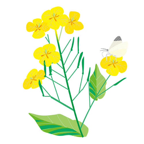 快乐花 messages sticker-0
