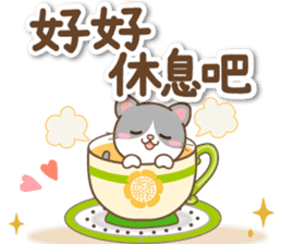 黑白貓 messages sticker-4