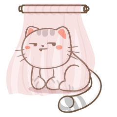 CCat messages sticker-2