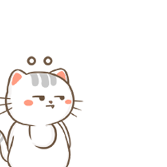 CCat messages sticker-7
