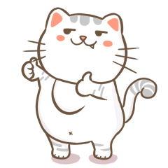 CCat messages sticker-4