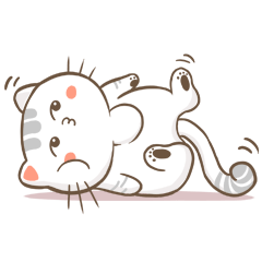 CCat messages sticker-9