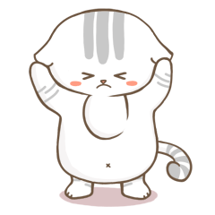 CCat messages sticker-5