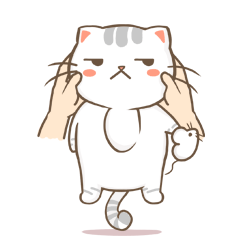 CCat messages sticker-3