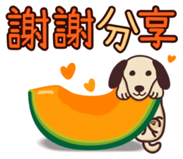 各種謝謝 messages sticker-10