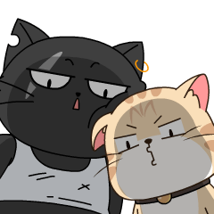 WBCAT messages sticker-2