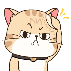 WBCAT messages sticker-3