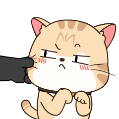 WBCAT messages sticker-5