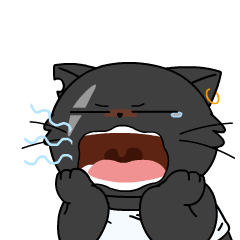 WBCAT messages sticker-6