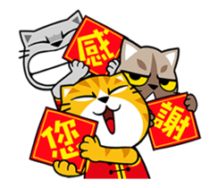 小貓過年 messages sticker-2