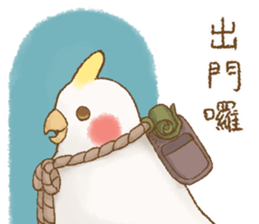 快樂的鸚鵡 messages sticker-8