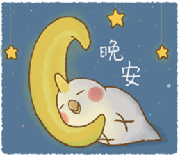 快樂的鸚鵡 messages sticker-4