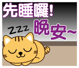 叮噹貓咪 messages sticker-6