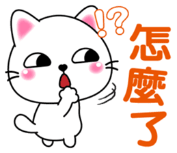 Q寶貝貓 messages sticker-11