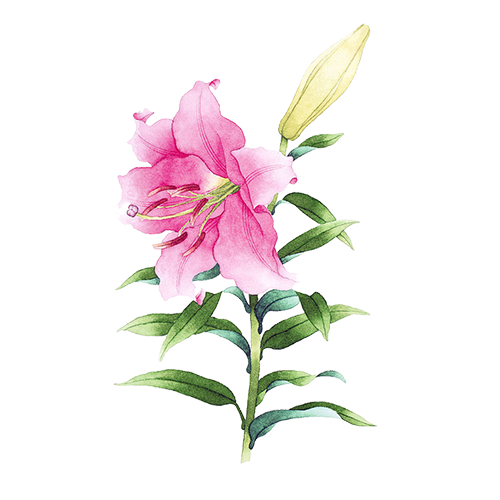 WUHEMAI messages sticker-9