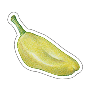 Papa Johns Pizza & Delivery messages sticker-8