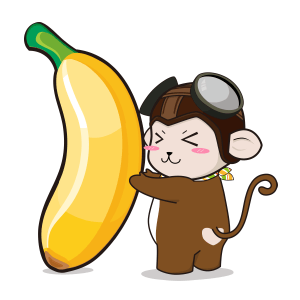 Spring Airlines messages sticker-6