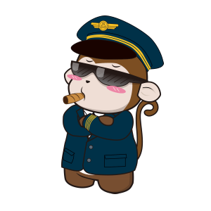 Spring Airlines messages sticker-4