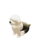 Tiny Sheep : Pet Sim on a Farm messages sticker-11