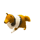 Tiny Sheep : Pet Sim on a Farm messages sticker-9