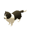 Tiny Sheep : Pet Sim on a Farm messages sticker-8