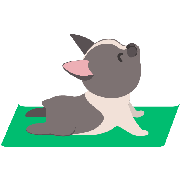 Rover—Dog Sitters & Walkers messages sticker-7