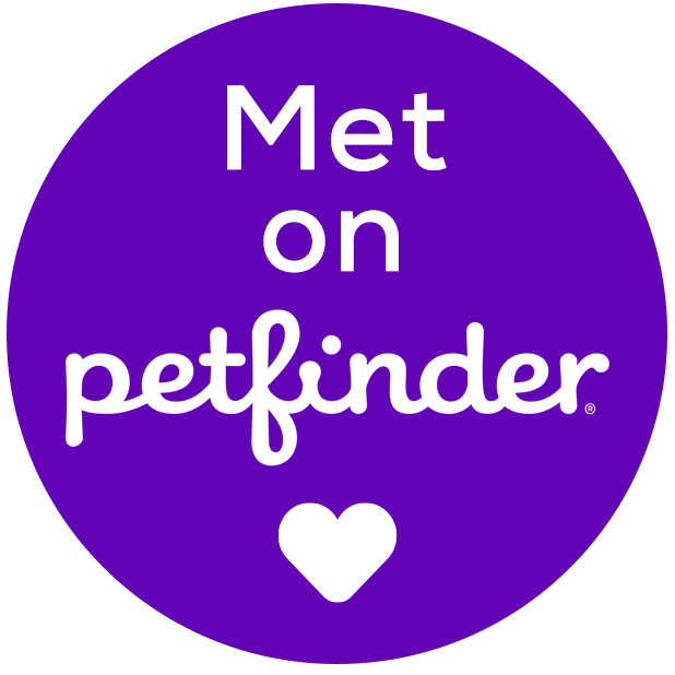 Petfinder Adoptable Pets messages sticker-5