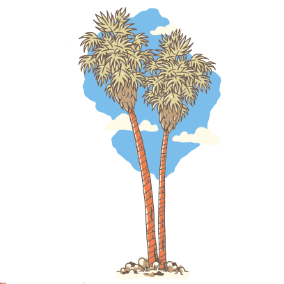 Coachella 2017 Official messages sticker-6