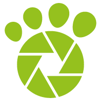 Tractive Photos - Pet Photo Gallery messages sticker-7