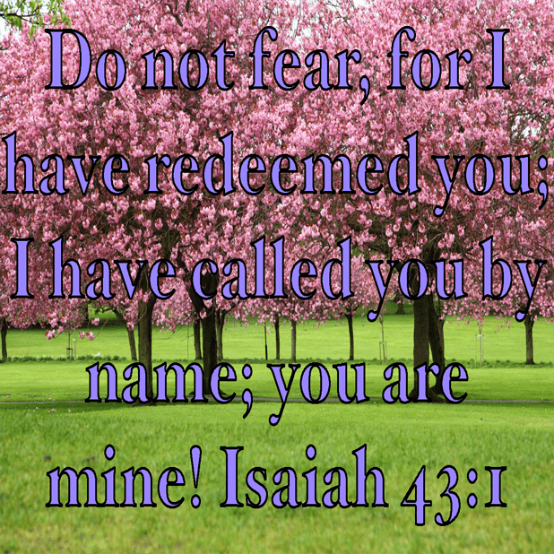 Fritch Church of Christ messages sticker-3