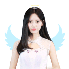 口袋48 messages sticker-6
