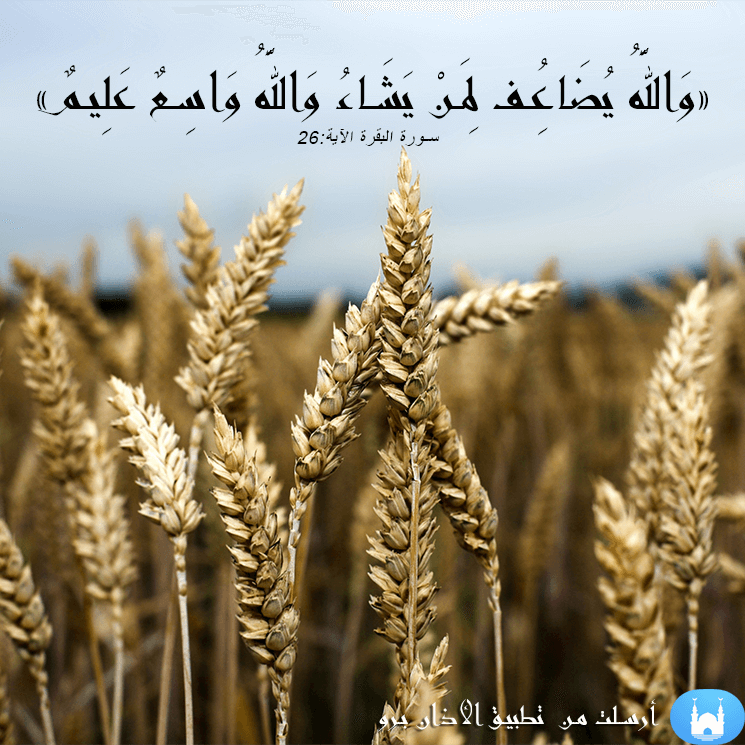 Athan Pro - Muslim tools, Azan messages sticker-1