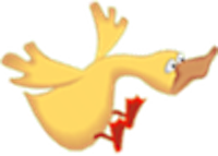 Freakin' Flyin' Duck messages sticker-5