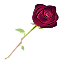 Musi Photo Editor with Sticker messages sticker-4
