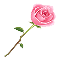PIS - Picture Collage Studio messages sticker-11