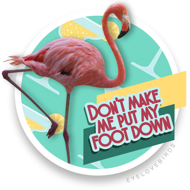 EyeLoveBirds: Bird Checklists messages sticker-10