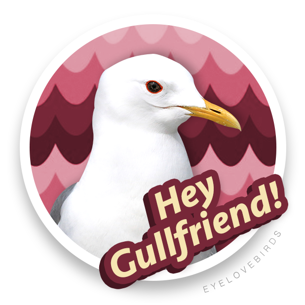 EyeLoveBirds: Bird Checklists messages sticker-1