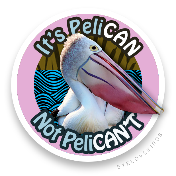 EyeLoveBirds: Bird Checklists messages sticker-11