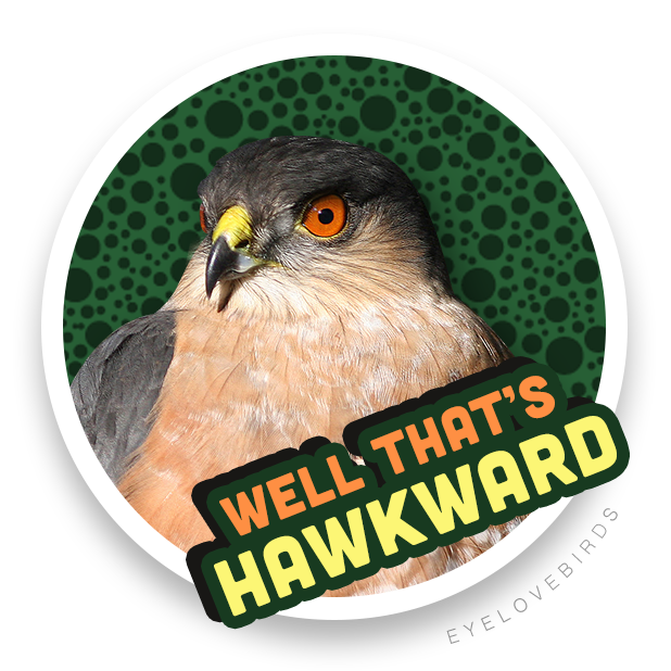 EyeLoveBirds: Bird Checklists messages sticker-4