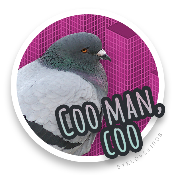 EyeLoveBirds: Bird Checklists messages sticker-0
