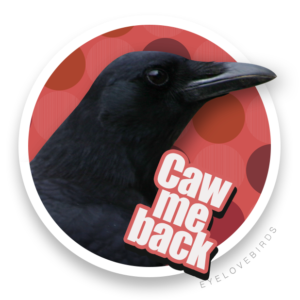 EyeLoveBirds: Bird Checklists messages sticker-2