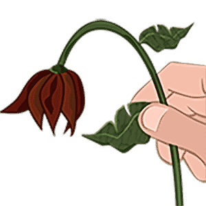 Belot.BG messages sticker-6