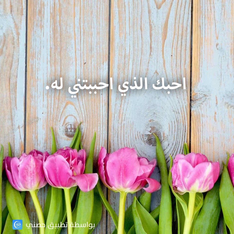 Hisnii - حِصْني messages sticker-11