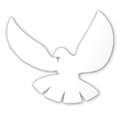 Ceaseless Prayer messages sticker-8