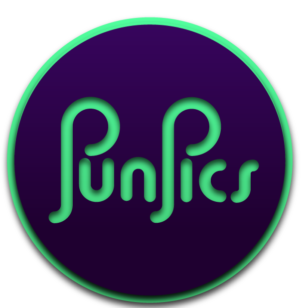 PunPics messages sticker-0